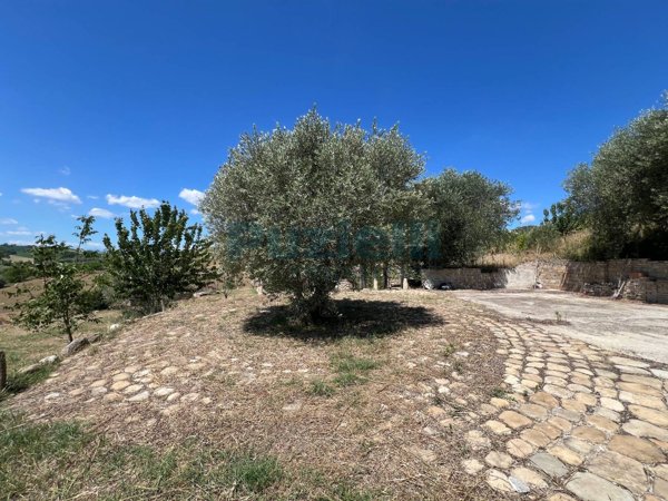 casa indipendente in vendita a Montefiore dell'Aso