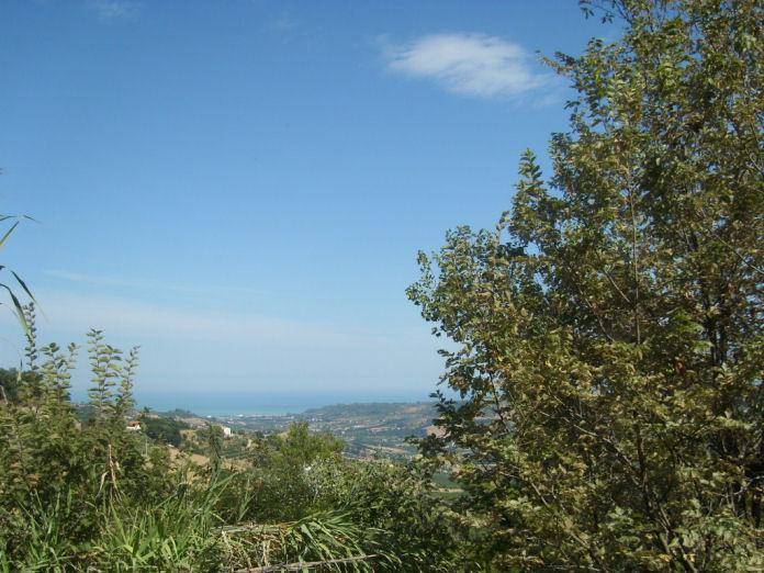 casa indipendente in vendita a Montefiore dell'Aso