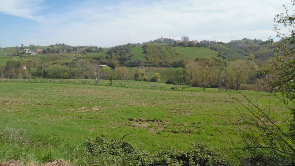 casa indipendente in vendita a Montefiore dell'Aso