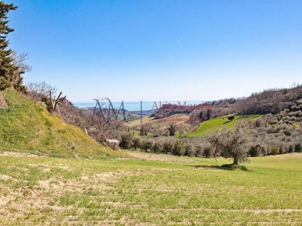 terreno agricolo in vendita a Montefiore dell'Aso