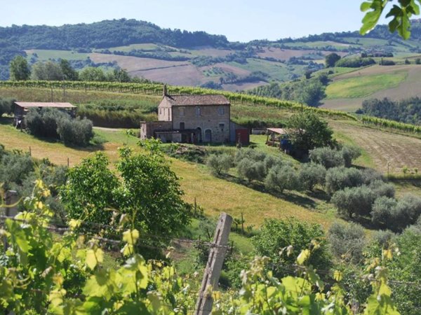 casa indipendente in vendita a Montefiore dell'Aso