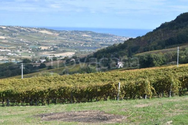 terreno agricolo in vendita a Montefiore dell'Aso