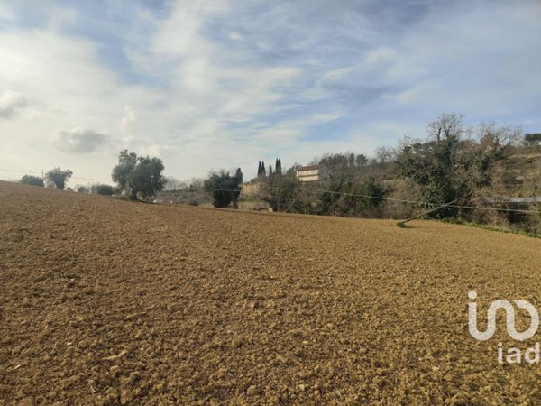 terreno agricolo in vendita a Montefiore dell'Aso