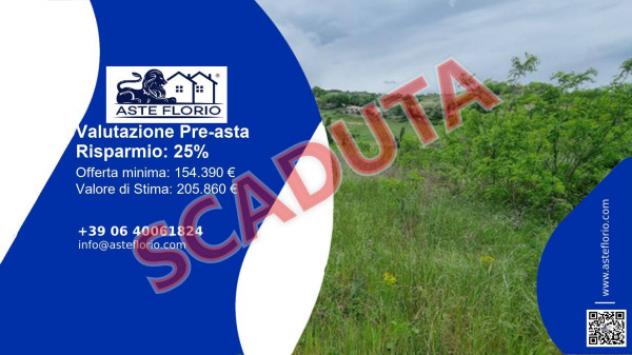 terreno agricolo in vendita a Montefiore dell'Aso