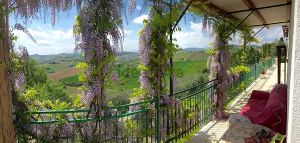 esavano in vendita a Montefiore dell'Aso