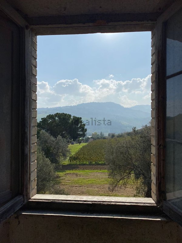 esavano in vendita a Montefiore dell'Aso