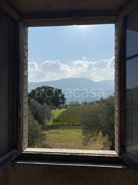 casa indipendente in vendita a Montefiore dell'Aso
