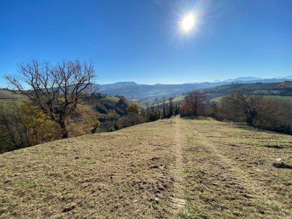 pentavano in vendita a Montefiore dell'Aso