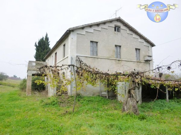 terreno agricolo in vendita a Montefiore dell'Aso