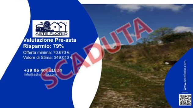 terreno agricolo in vendita a Montefiore dell'Aso