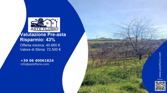 terreno edificabile in vendita a Montefiore dell'Aso