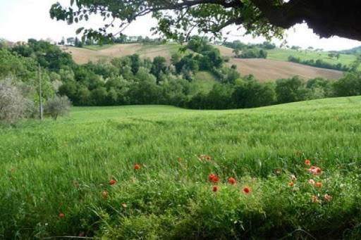 casa indipendente in vendita a Montefiore dell'Aso