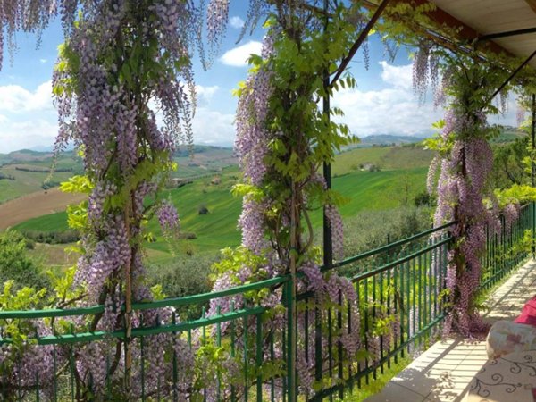 casa indipendente in vendita a Montefiore dell'Aso