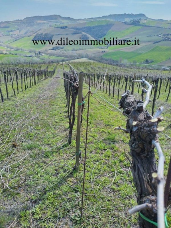 appartamento in vendita a Montefiore dell'Aso