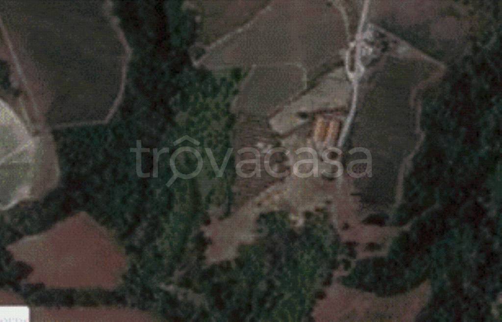 terreno agricolo in vendita a Montefiore dell'Aso