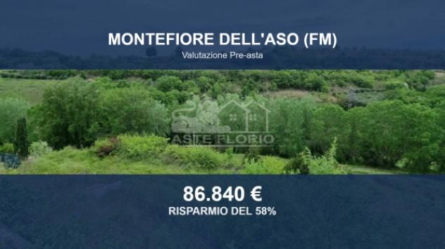 terreno agricolo in vendita a Montefiore dell'Aso