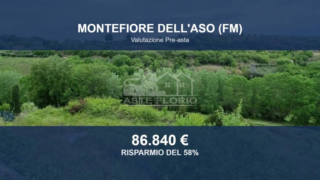 terreno agricolo in vendita a Montefiore dell'Aso