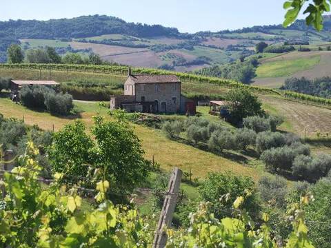 casa indipendente in vendita a Montefiore dell'Aso