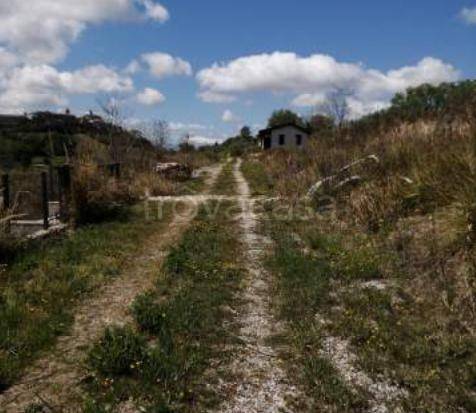 casa indipendente in vendita a Montefiore dell'Aso