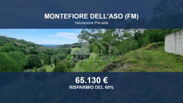 terreno agricolo in vendita a Montefiore dell'Aso