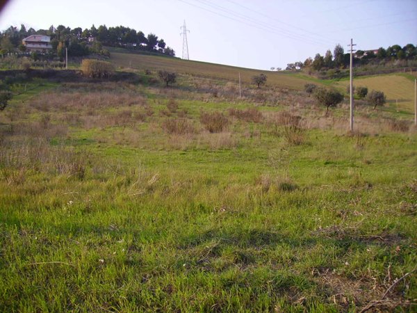 casa indipendente in vendita a Monteprandone