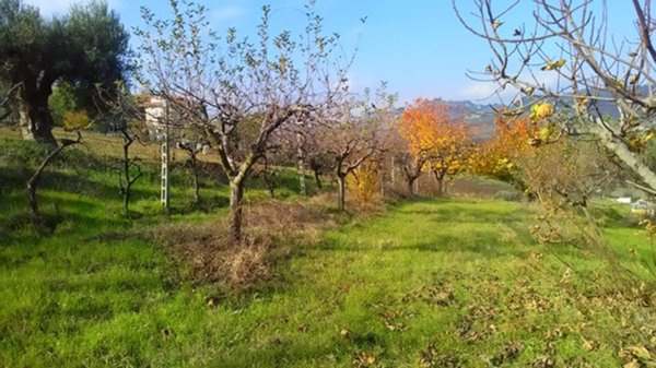 casa indipendente in vendita a Monteprandone in zona Centobuchi