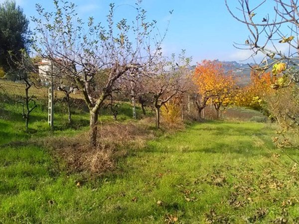 casa indipendente in vendita a Monteprandone