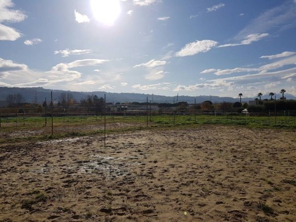 terreno agricolo in vendita a Monteprandone in zona Centobuchi