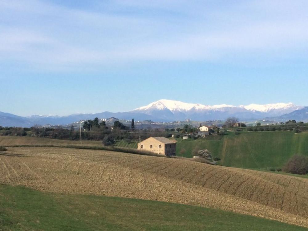 casa indipendente in vendita a Monteprandone