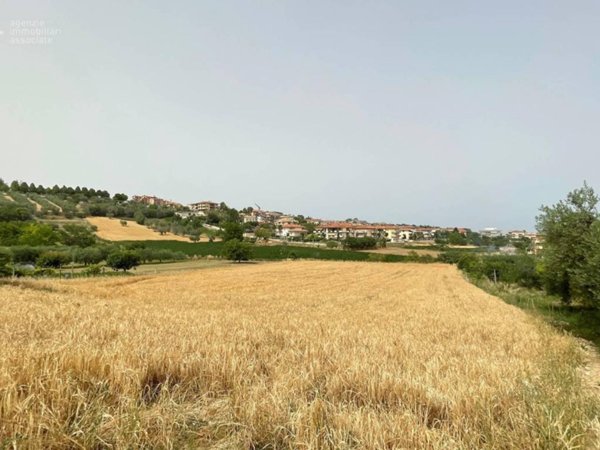 terreno agricolo in vendita a Monteprandone in zona Centobuchi