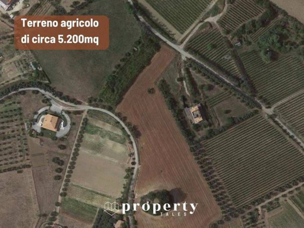 terreno agricolo in vendita a Monteprandone