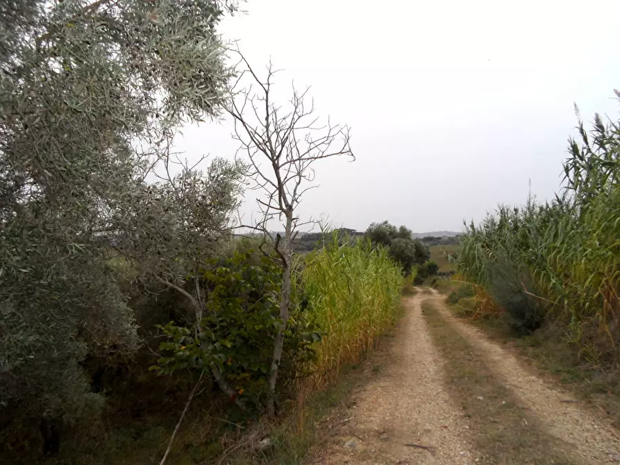 casa indipendente in vendita a Monteprandone