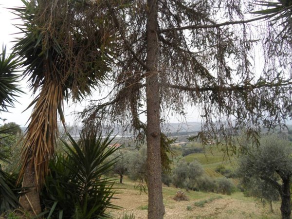 casa indipendente in vendita a Monteprandone