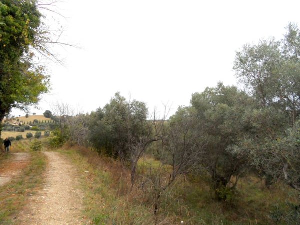 casa indipendente in vendita a Monteprandone