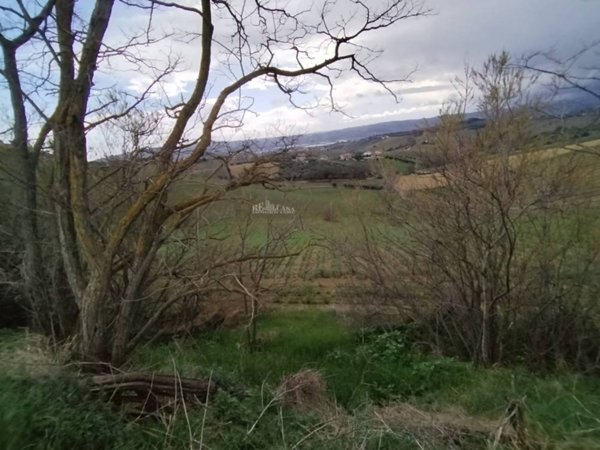 casa indipendente in vendita a Monteprandone