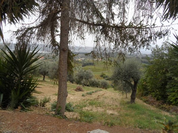 casa indipendente in vendita a Monteprandone