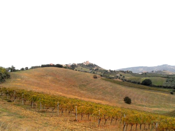 casa indipendente in vendita a Monteprandone