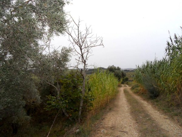 casa indipendente in vendita a Monteprandone