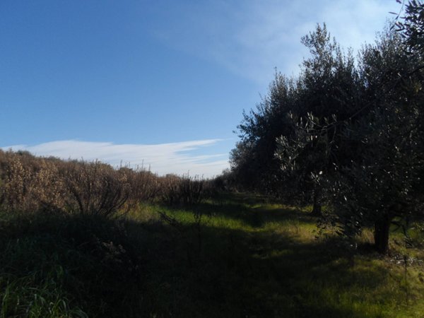 casa indipendente in vendita a Monteprandone in zona Centobuchi