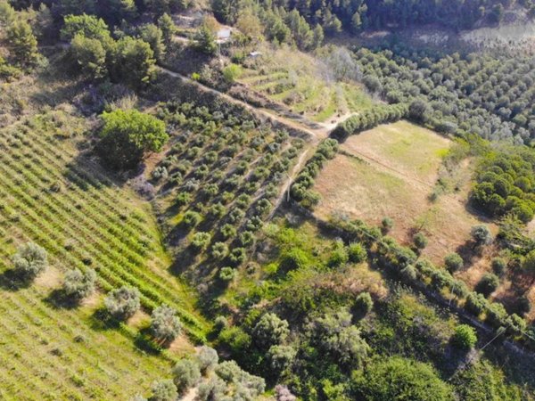 terreno agricolo in vendita a Monteprandone
