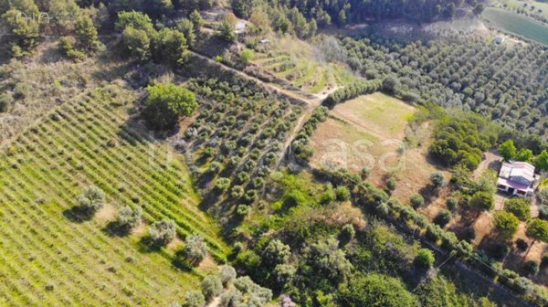 terreno agricolo in vendita a Monteprandone