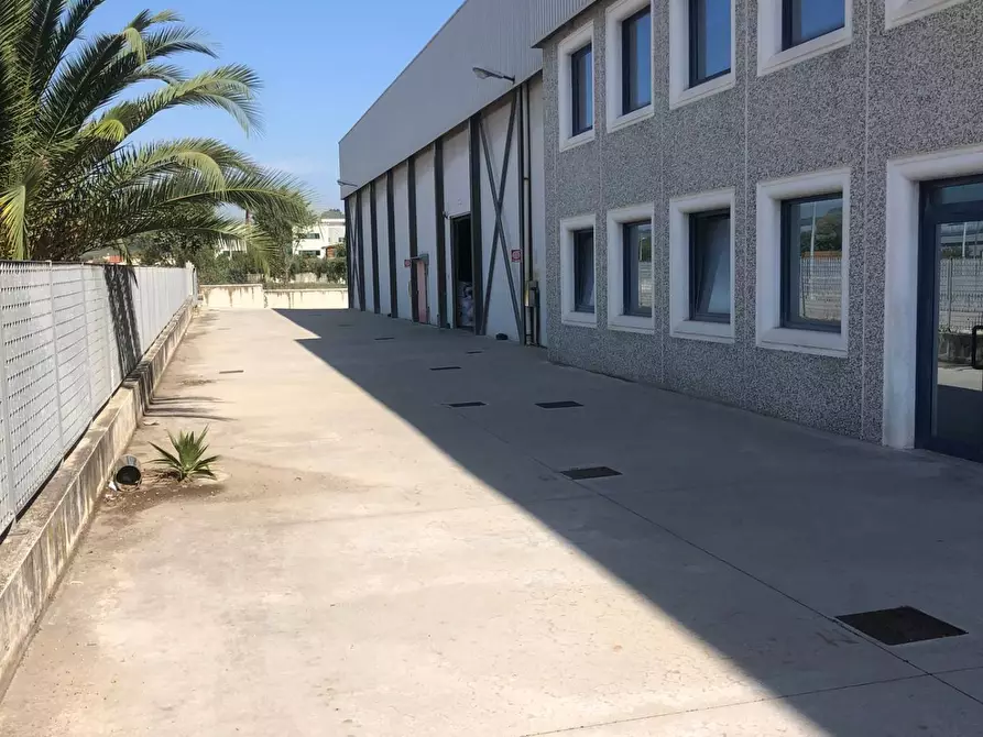 immagine annuncio 0 di 1