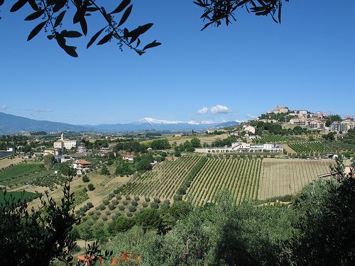 terreno edificabile in vendita a Monteprandone