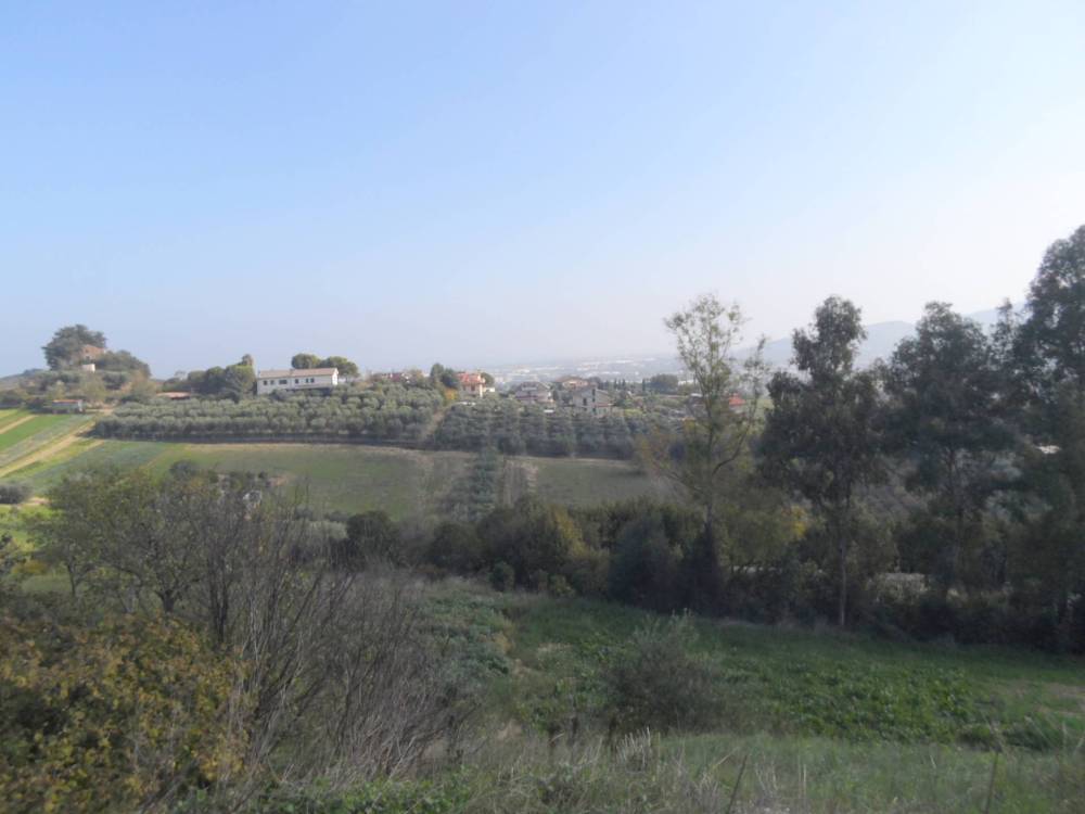 terreno agricolo in vendita a Monteprandone