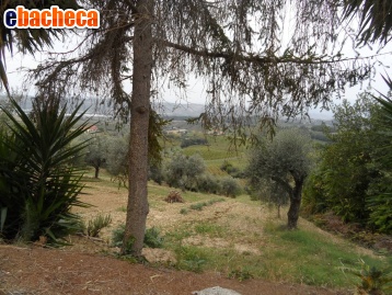 casa indipendente in vendita a Monteprandone