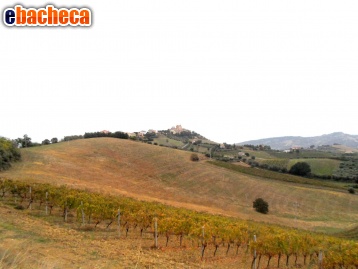 casa indipendente in vendita a Monteprandone