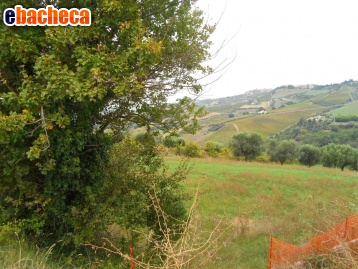 casa indipendente in vendita a Monteprandone
