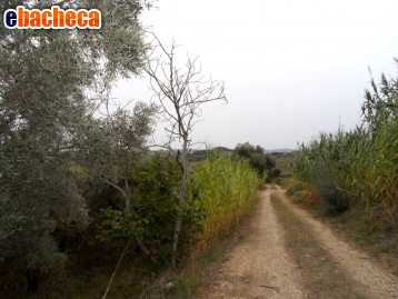 casa indipendente in vendita a Monteprandone