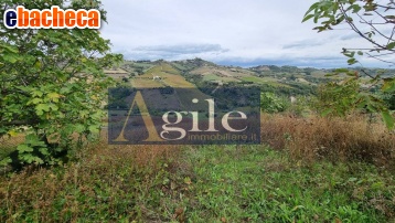 terreno agricolo in vendita a Monteprandone