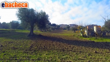 casa indipendente in vendita a Monteprandone
